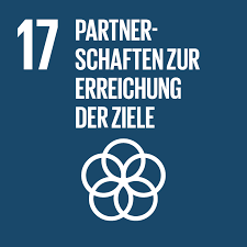 SDG 17, Partnerschaften zur Erreichung der Ziele